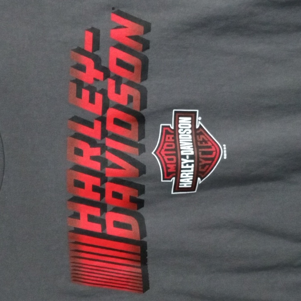Harley-Davidson Men's Charcoal Gray Long Sleeve Tee Mens’ Large